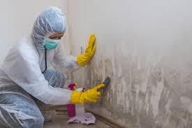 Best Forensic Mold Investigation  in Wilson, PA